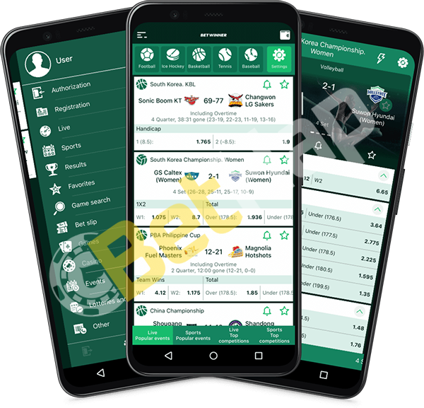 Explorando el Mundo del Apuestas con Betwinner Explorando el Mundo del Apuestas con Betwinner